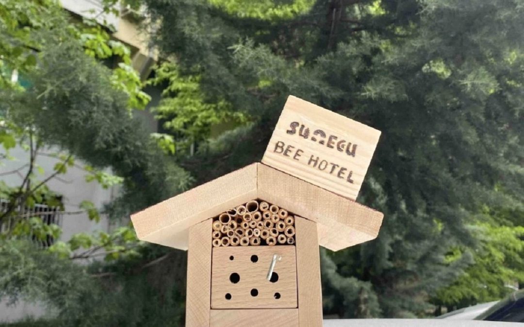 Initiative #BeeTAKTFull – Bee Hotels